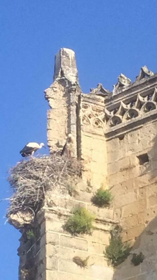 San Juan 7 Διαμέρισμα El Puerto de Santa María Εξωτερικό φωτογραφία